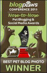 BlogPaws 2015 Nose-to-Nose Awards Winner badge