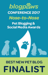 2017 BlogPaws Nose-to-Nose - BEST NEW PET BLOG FINALIST badge