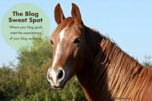 Your Blog's Sweet Spot