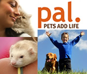 PAL: Pets Add Life
