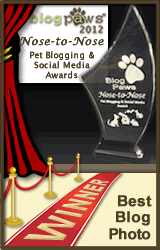 BlogPaws 2012 Nose-to-Nose Pet Blogging and Social Media Awards - Winner: Best Blog Photo