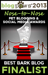 BlogPaws 2012 Nose-to-Nose Pet Blogging and Social Media Awards - Finalist: Best Bark Blog