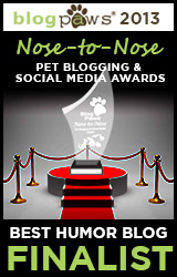 BlogPaws 2012 Nose-to-Nose Pet Blogging and Social Media Awards - Finalist: Best Humor Blog