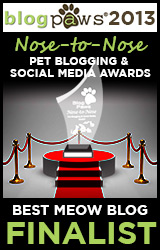 BlogPaws 2013 Nose-to-Nose Pet Blogging and Social Media Awards - Winner: Best Meow Blog