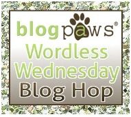 Bloghop