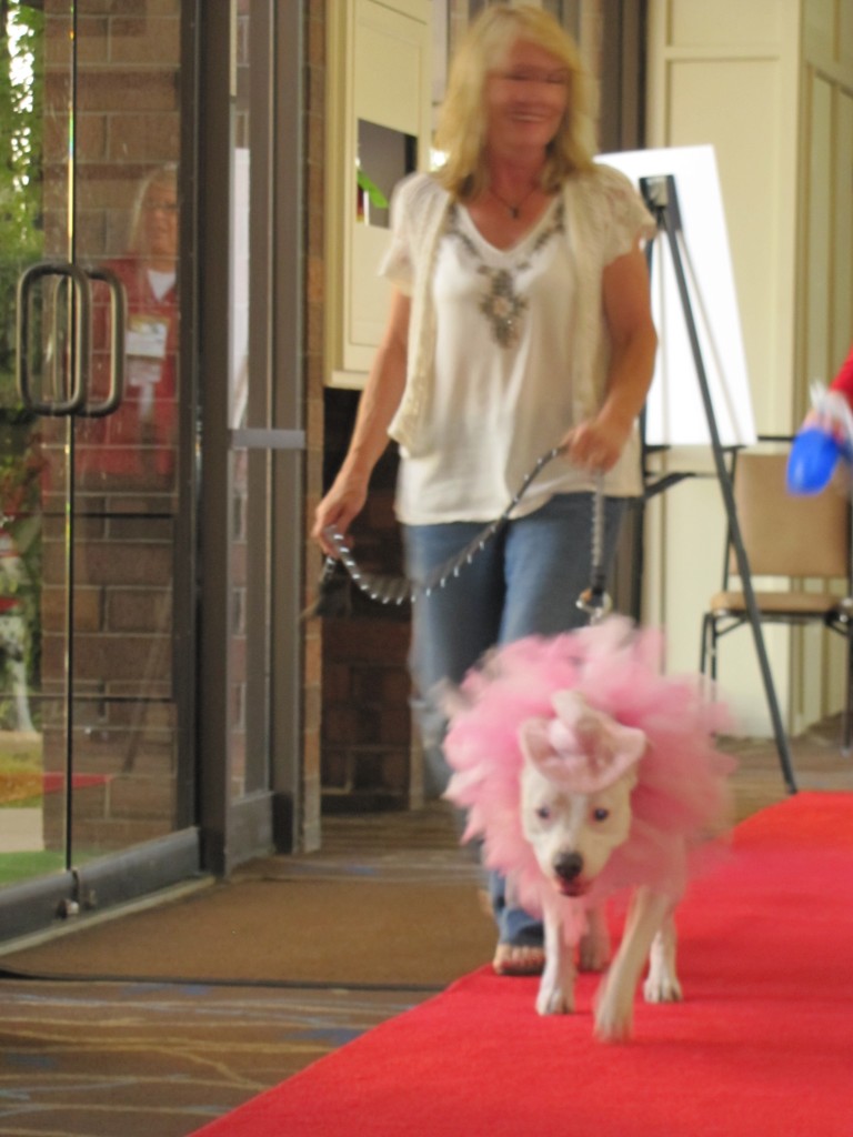 BlogPaws_redcarpet