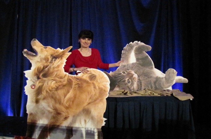 Burning BlogPaws Questions Answered