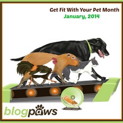 How to Get Fit With Your Pets