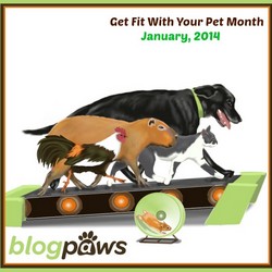 BlogPaws_Get_Fit