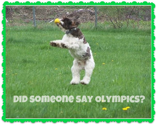 Olympicsdog