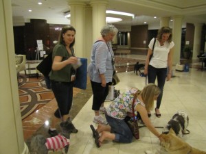 dogs_blogpaws