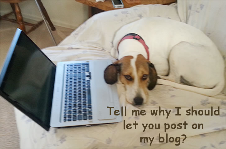 Emily: the guest posting gatekeeper