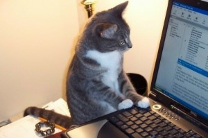 cat_computer