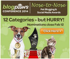 blogpaws