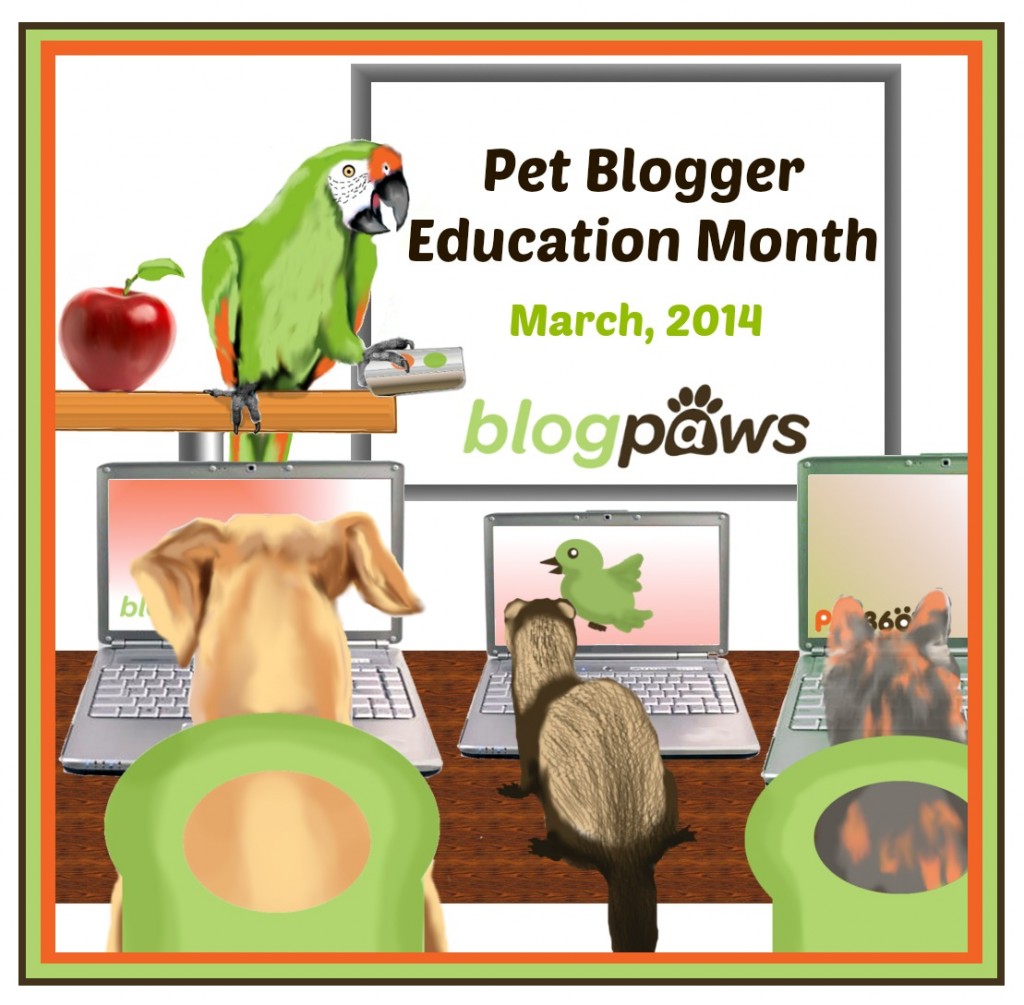 BlogPaws Education