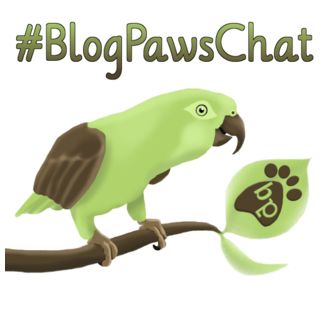 #BlogPawsChat Celebrates #AdoptACat Month