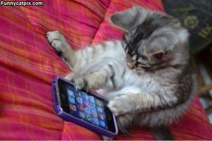 cat_texting