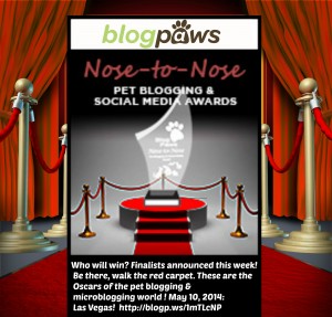 blogging awards