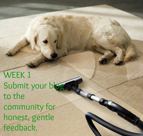 Blog Spring Cleaning: Submit It For Honest, Kind, Constructive Feedback