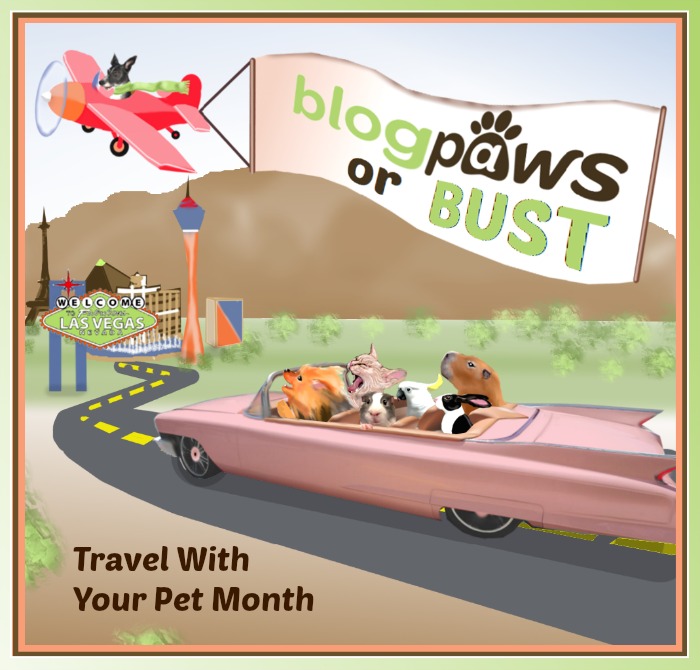 BlogPaws Wordless Wednesday: Conference Time