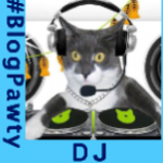 dj