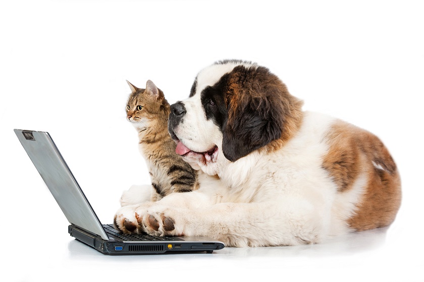 BlogPaws 2014: Write Engaging Blog Posts