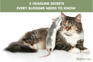 5 Headline Secrets Every Blogger Needs to Know | BlogPaws.com