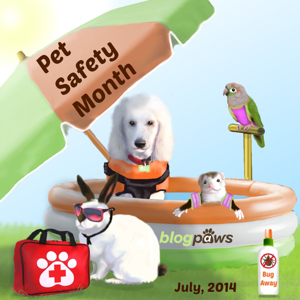 Pet Safety Month #BlogPawsChat