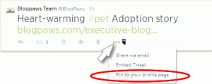New Twitter feature: Pinning A Tweet