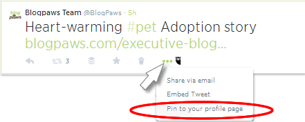 New Twitter feature: Pinning A Tweet