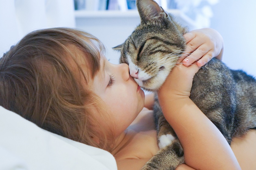 6 Things You Shouldn’t Say To A Pet Parent
