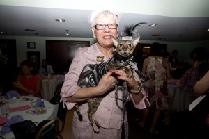 teri cat