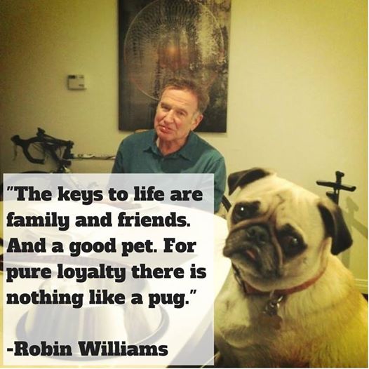 BlogPaws News Bite: RIP Animal Advocate Robin Williams