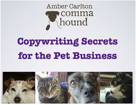 Copywriting Secrets for the Pet Business