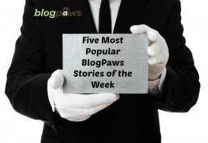 blogpaws topics