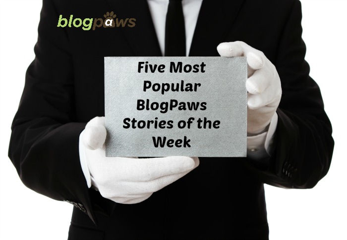 5 Most Popular BlogPaws Stories of the Week