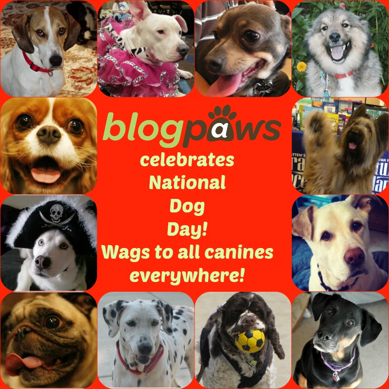 BlogPaws Celebrates #NationalDogDay