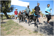 BlogPaws News Bite: Annual Walk ‘n Wag Fundraiser Underway