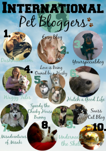 international-pet-bloggers