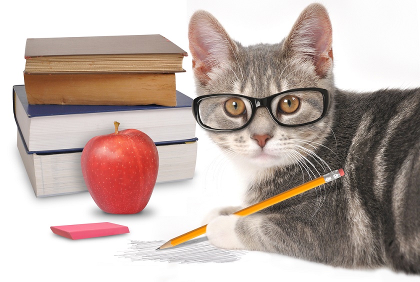 BlogPaws News Bite: Help Pets Cope With Back To School Blues