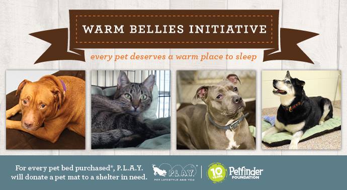 ‘Warm Bellies’ Initiative Winners Named
