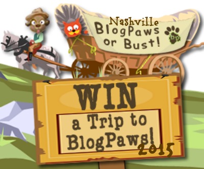 BlogPaws or Bust Contest 2015: Twitter