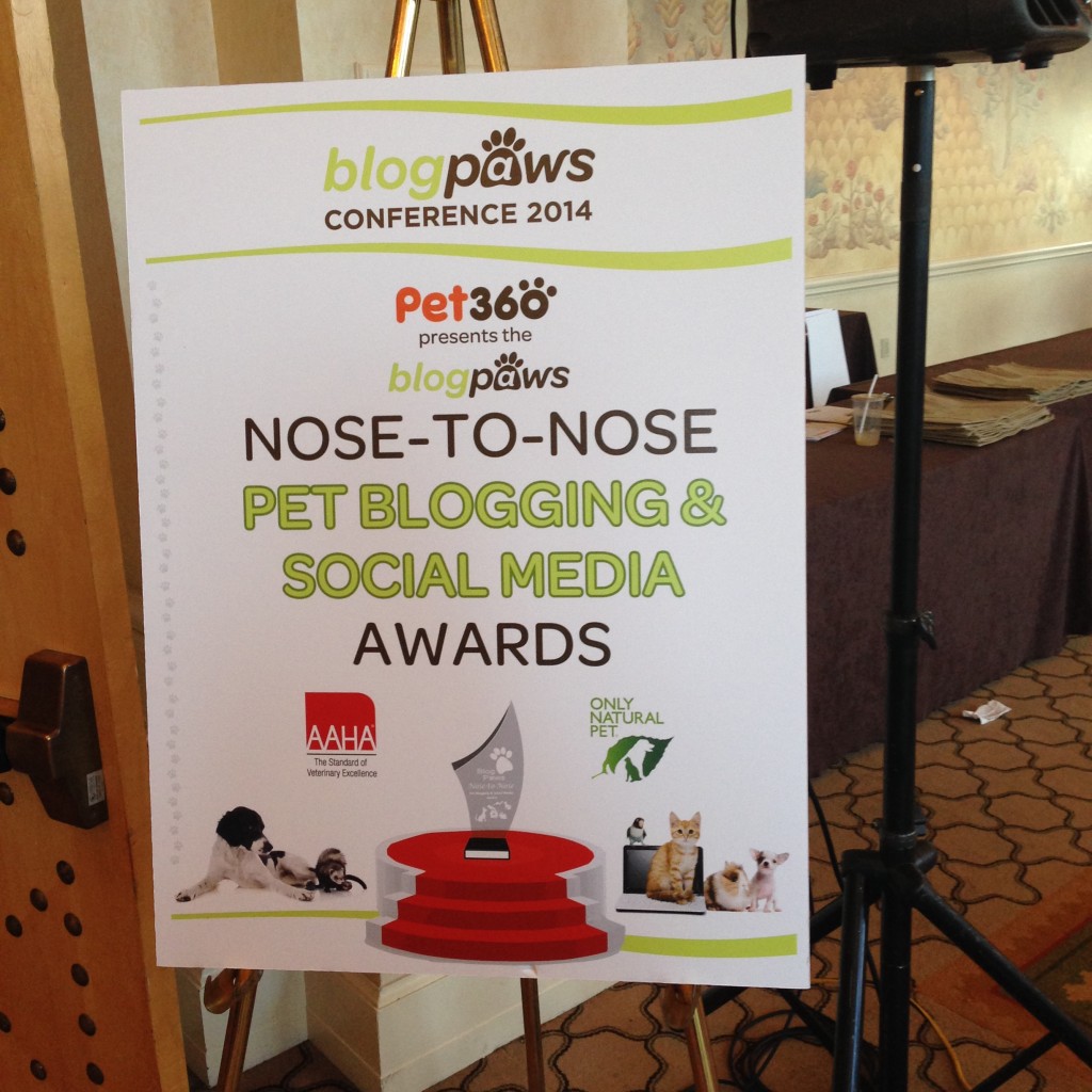 blogpaws awards