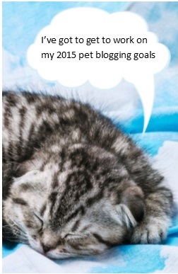 pet blog goals 