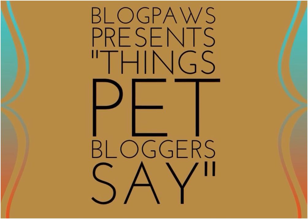 blogpaws