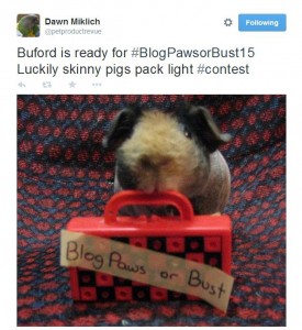 blogpaws or bust