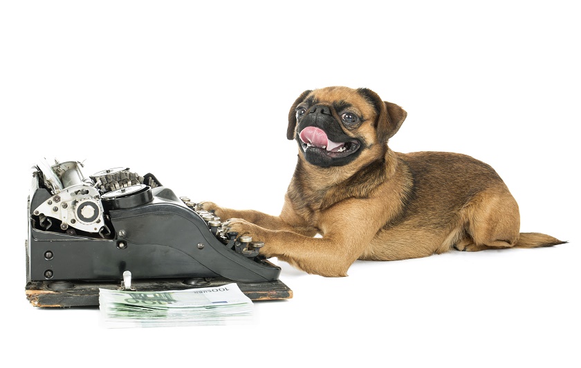 dog on typewriter