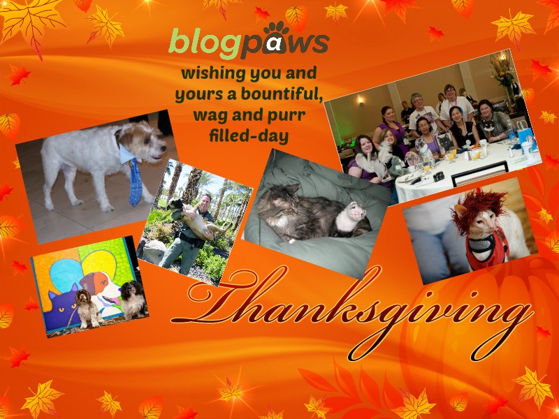 A BlogPaws Thanksgiving for Pet Lovers
