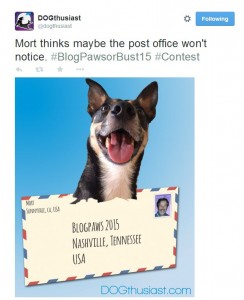 blogpaws or bust