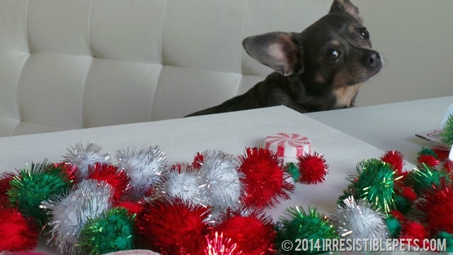 Even Dogs Wear Ugly Christmas Sweaters #UglyChristmasSweaterDay